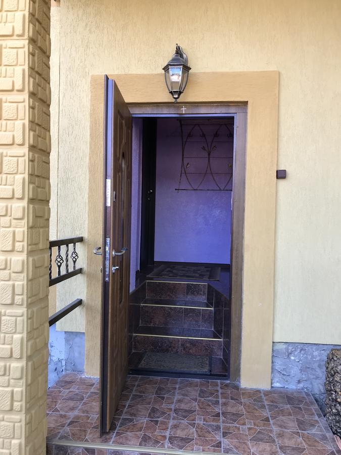 טרוסקבץ Villa L'Vovskaia מראה חיצוני תמונה